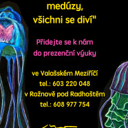 REKLAMNI OKNO prezencni vyuka2