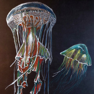 Obraz-Meduzy-07