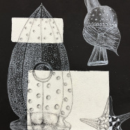 Radiolaria_SVO_Roznov-1