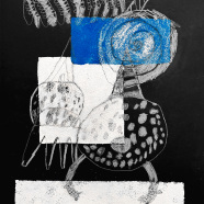 Radiolaria_SVO_Roznov-6