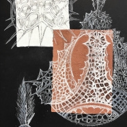 Radiolaria_SVO_Roznov-7