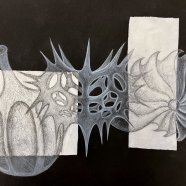Radiolaria_SVO_Valasske-Mezirici-01
