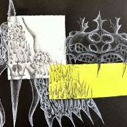 Radiolaria_SVO_Valasske-Mezirici-02