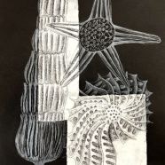 Radiolaria_SVO_Valasske-Mezirici-07
