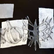 Radiolaria_SVO_Valasske-Mezirici-10