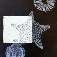 Radiolaria_SVO_Valasske-Mezirici-11