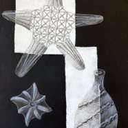 Radiolaria_SVO_Valasske-Mezirici-12