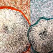 Ruze-z-Jericha-Kresba-a-malba-04